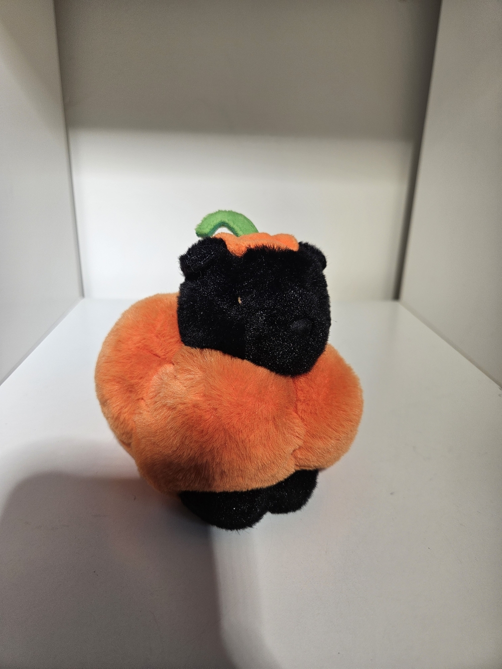 Douglas Halloween Pumpkin Black kitten   -